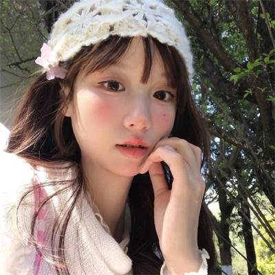 少数意见